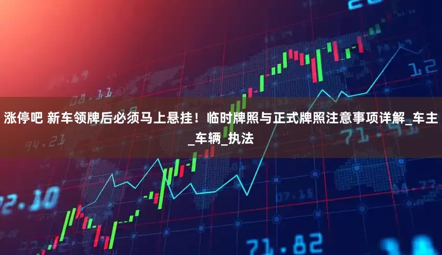 涨停吧 新车领牌后必须马上悬挂！临时牌照与正式牌照注意事项详解_车主_车辆_执法
