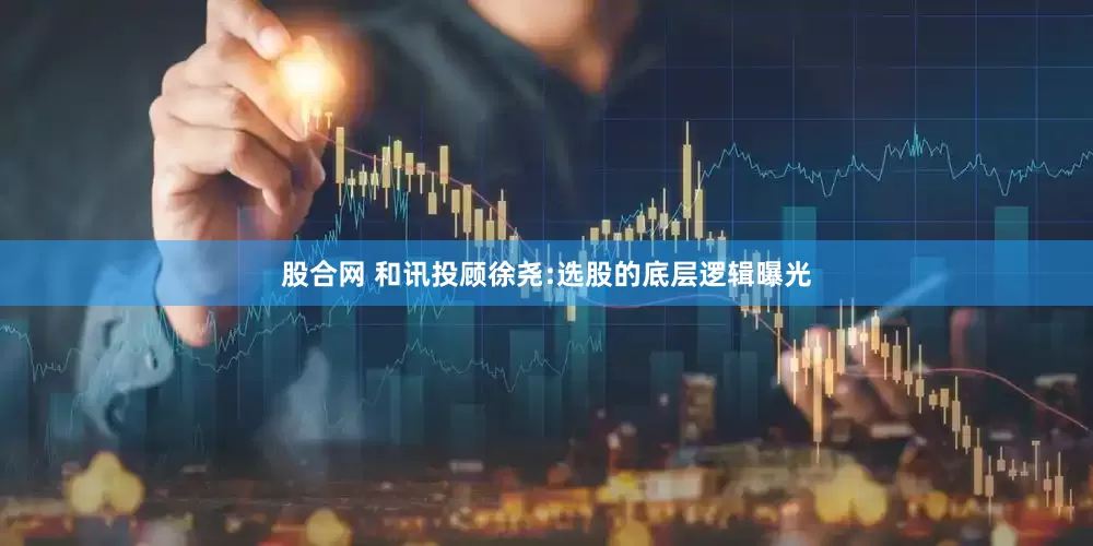 股合网 和讯投顾徐尧:选股的底层逻辑曝光