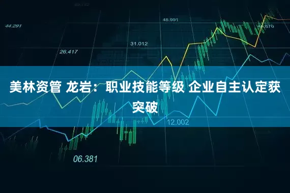 美林资管 龙岩：职业技能等级 企业自主认定获突破