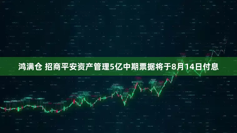 鸿满仓 招商平安资产管理5亿中期票据将于8月14日付息