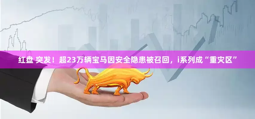 红盘 突发！超23万辆宝马因安全隐患被召回，i系列成“重灾区”